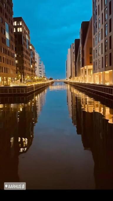 Aarhus 115 Apartment Ngoại thất bức ảnh